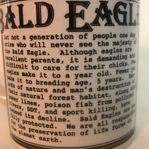 Bald Eagle Protection Vintage Mug