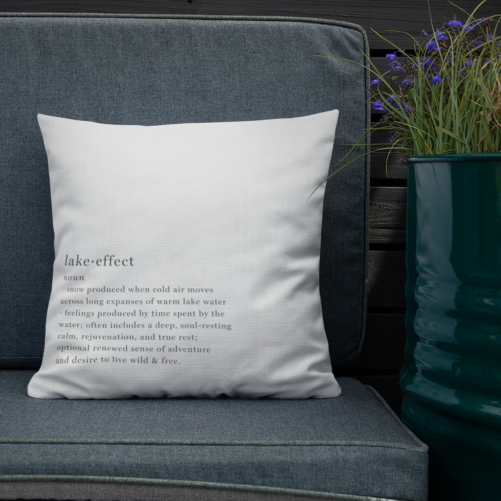 https://lakeeffectco.com/cdn/shop/products/all-over-print-premium-pillow-18x18-back-lifestyle-2-62c9a8b7b9e7e_1200x.jpg?v=1657383109